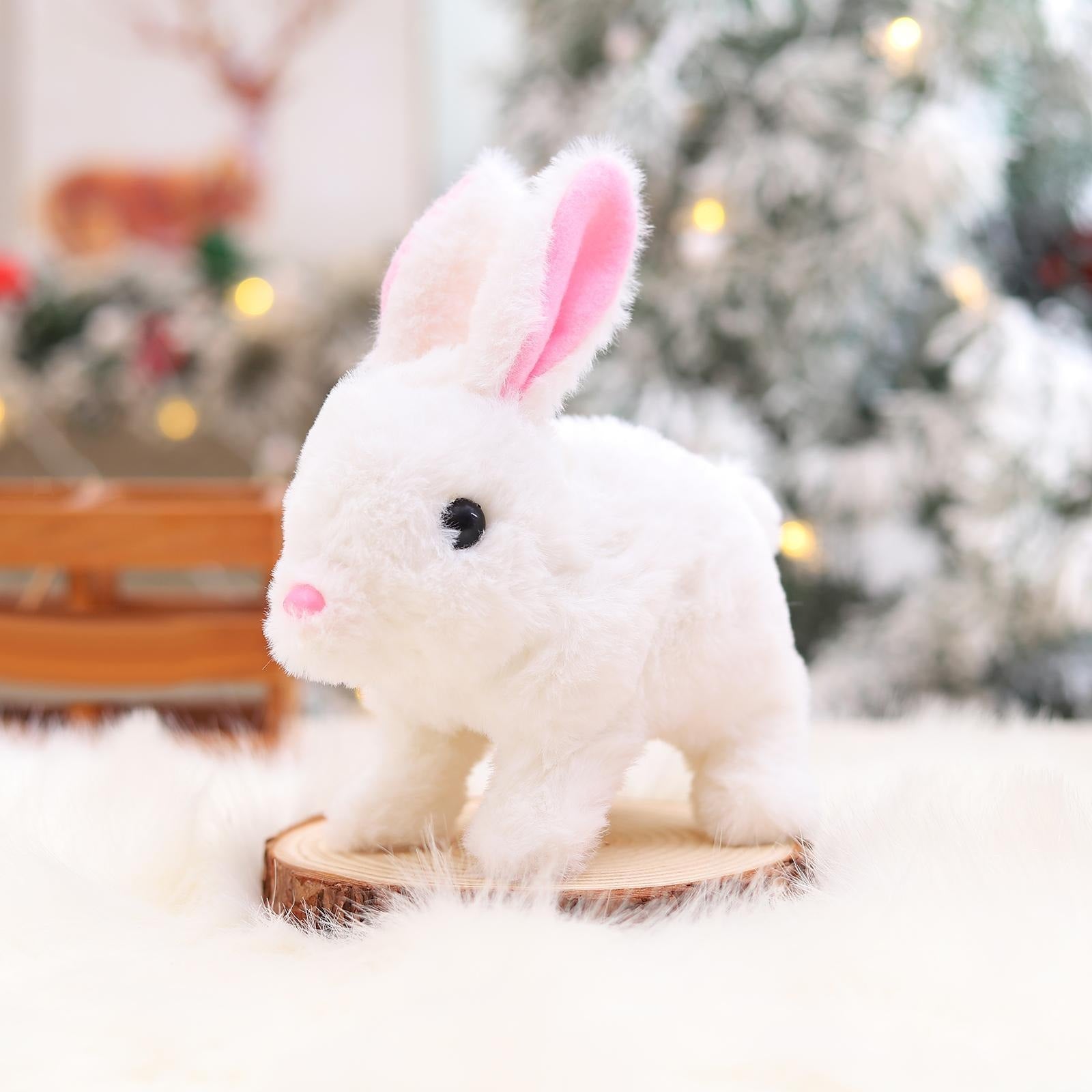 Adorable Fun and Interactive Playtime 🐇🎉 - Toymallpk