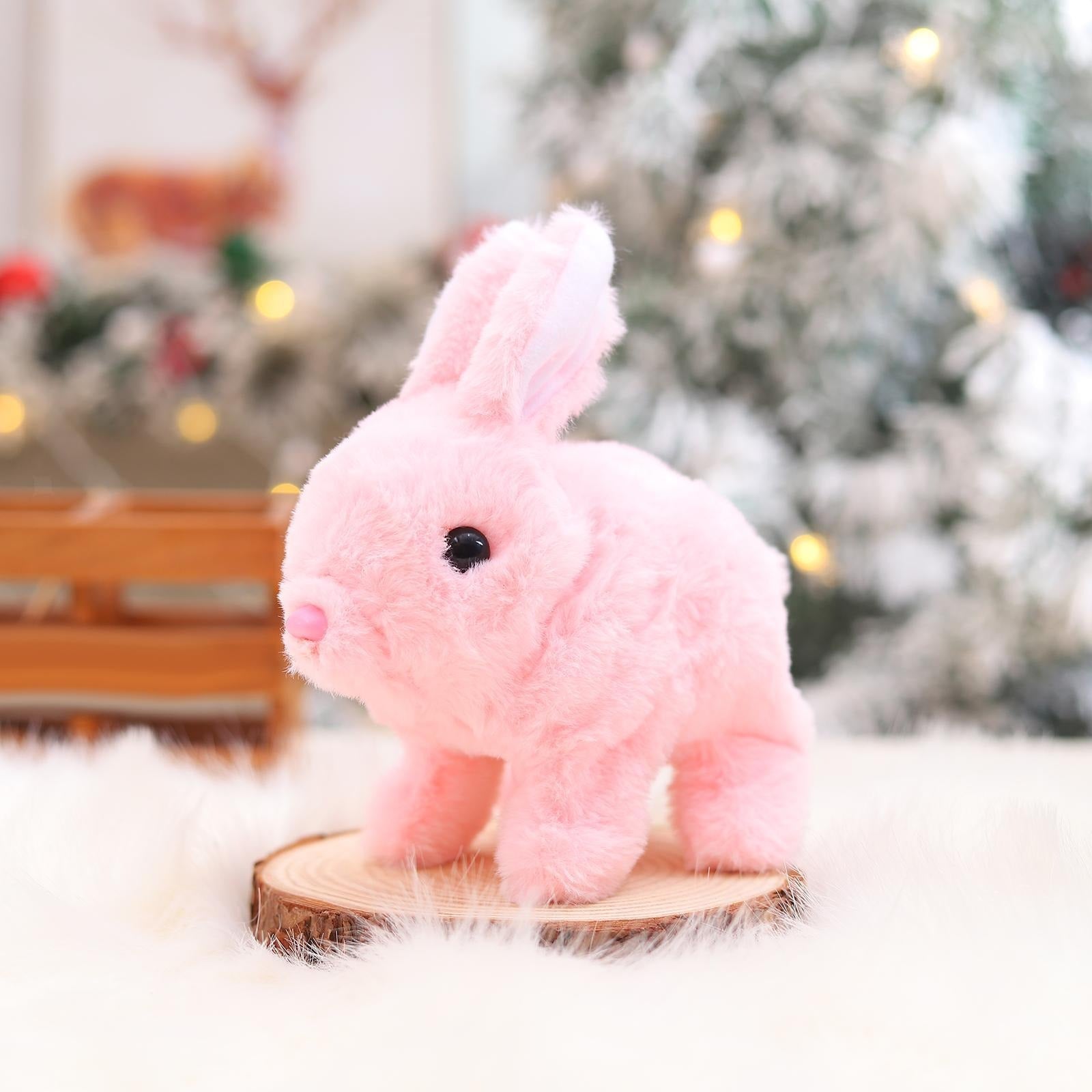 Adorable Fun and Interactive Playtime 🐇🎉