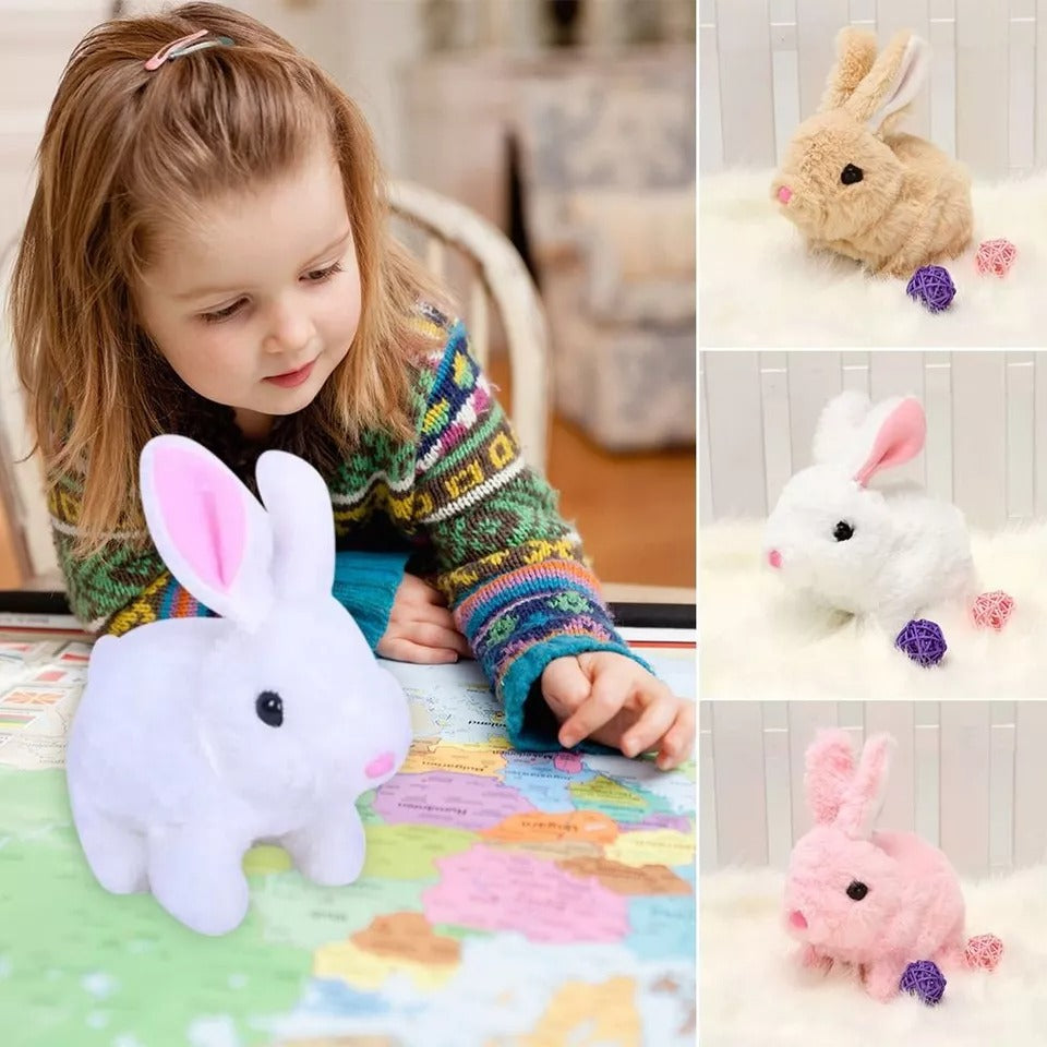 Adorable Fun and Interactive Playtime 🐇🎉 - Toymallpk