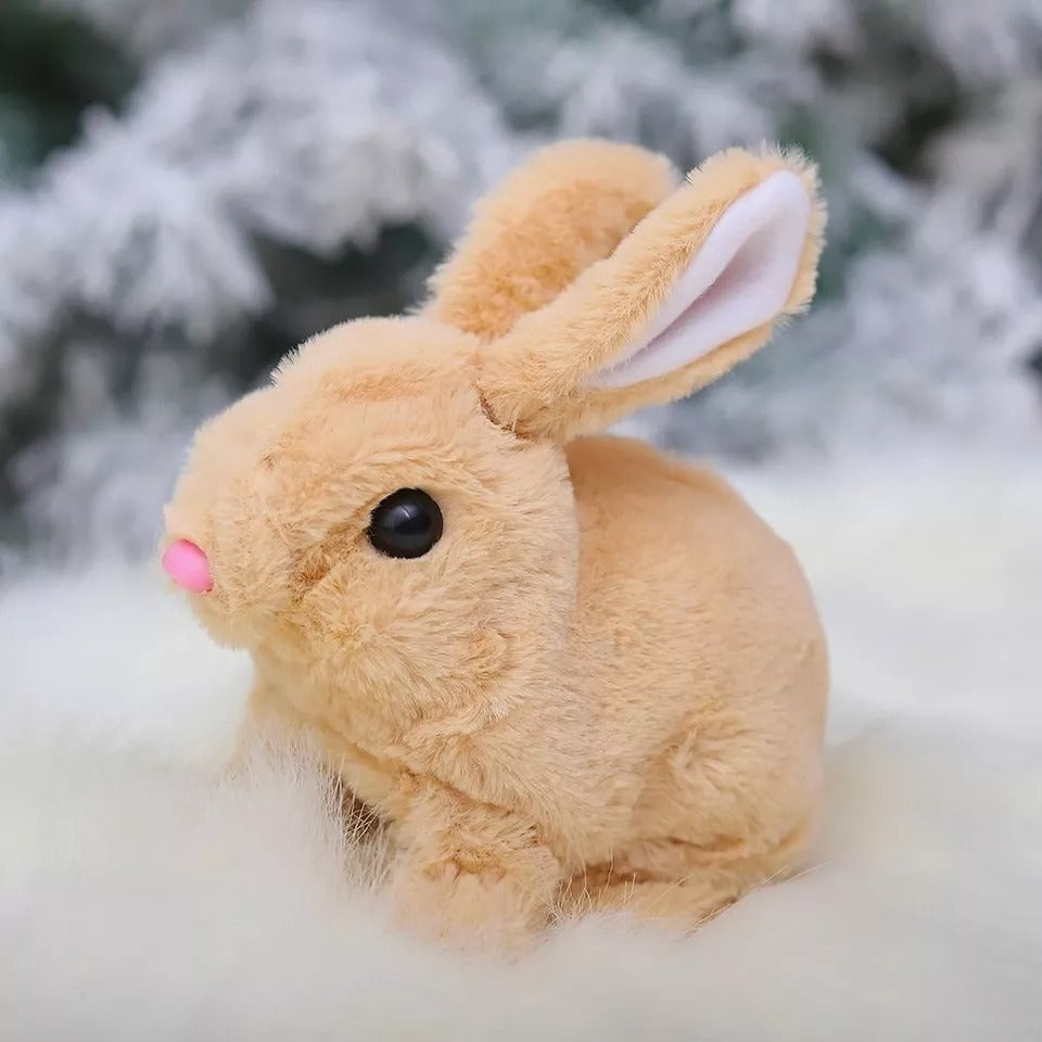 Adorable Fun and Interactive Playtime 🐇🎉 - Toymallpk