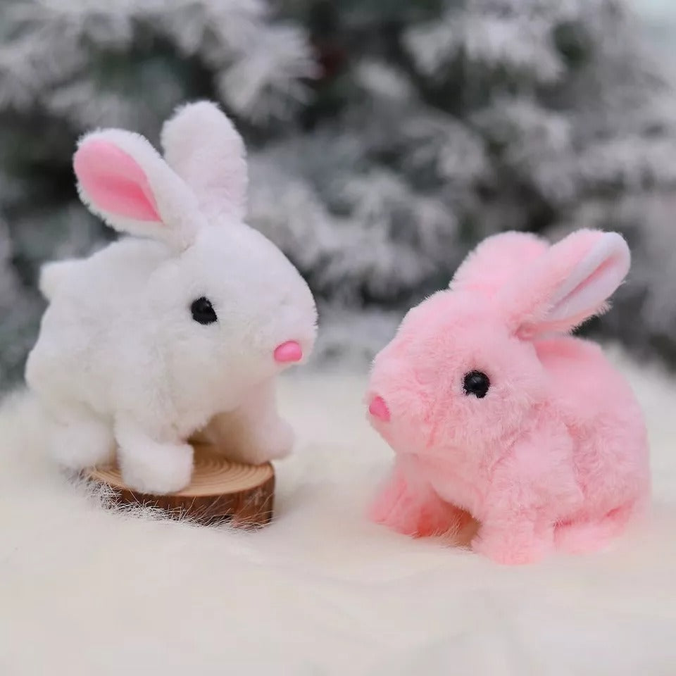 Adorable Fun and Interactive Playtime 🐇🎉