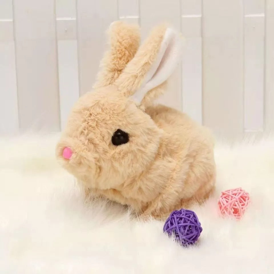 Adorable Fun and Interactive Playtime 🐇🎉 - Toymallpk